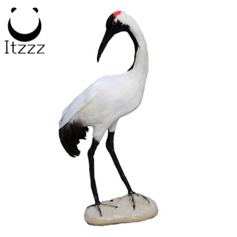 Other craftSimulation red-crowned crane feather pure handicraft ornaments jewelry children early education film propsHEZE HENGFANG LEATHER & FUR CRAFT CO., LTD